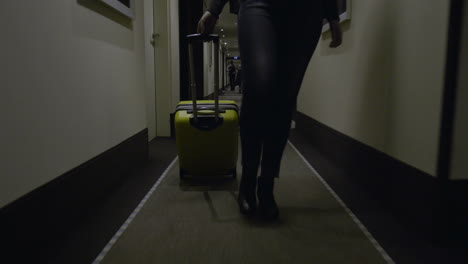 woman tourist with suitcase arriving in the hotel