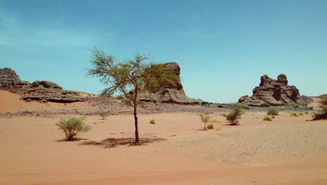 natural rock formations on desert landscape in algeria