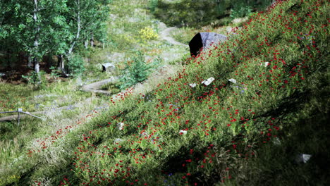 Paisaje-Idílico-En-Los-Alpes-Con-Prados-Verdes-Frescos-Y-Flores-Florecientes