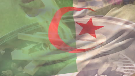 animation of flag of algeria over grill