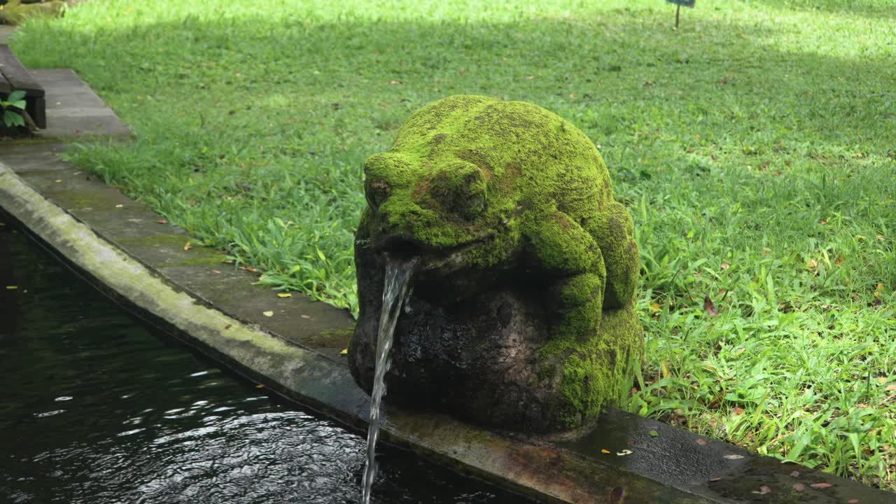 Mossy stone statue frog with water flowing into small pond in Ubud Monkey Forest, Bali, tranquil and lush jungle surroundings, close-up of statue face