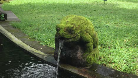 mossy stone statue frog with water flowing into small pond in ubud monkey forest, bali, tranquil and lush jungle surroundings, close-up of statue face