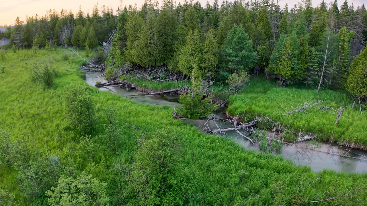 Letecké záběry dronem ukazující malý klikatý potok protékající svěžími zelenými loukami a hustým stálezeleným lesem.