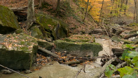 la ardilla gris sube a las rocas cerca del río, hermosa escena otoñal con hojas caídas