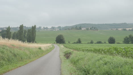 un tranquilo camino de campo en el sur de francia rodeado de colinas, viñedos y tierras de cultivo en un día nublado de verano