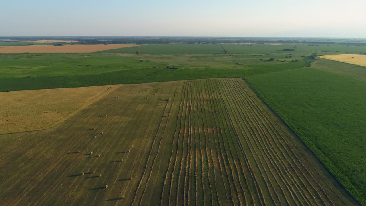 Aerial view hay bales at agricultural field in summer at sunset, haystack