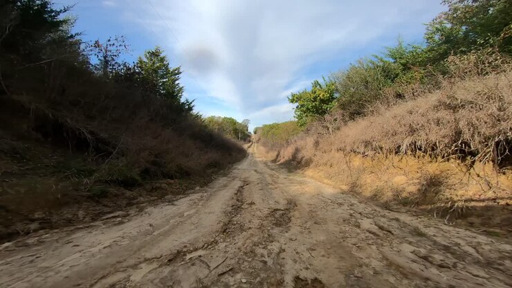 Point of View while driving on a tree lined dirt road on a farm in rural Iowa