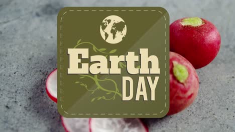 animation of earth day text banner against close up of red radish on grey surface