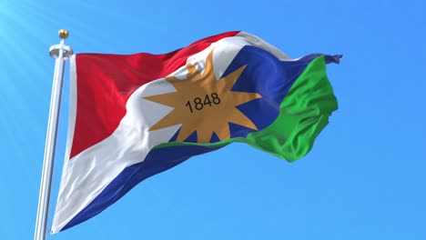 Flag of Puntarenas, Costa Rica. Loop