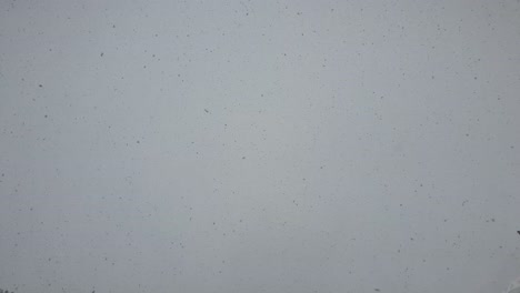 huge snowflakes falling from the sky