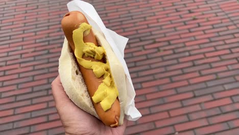 bockwurst sausage with mustard and bread