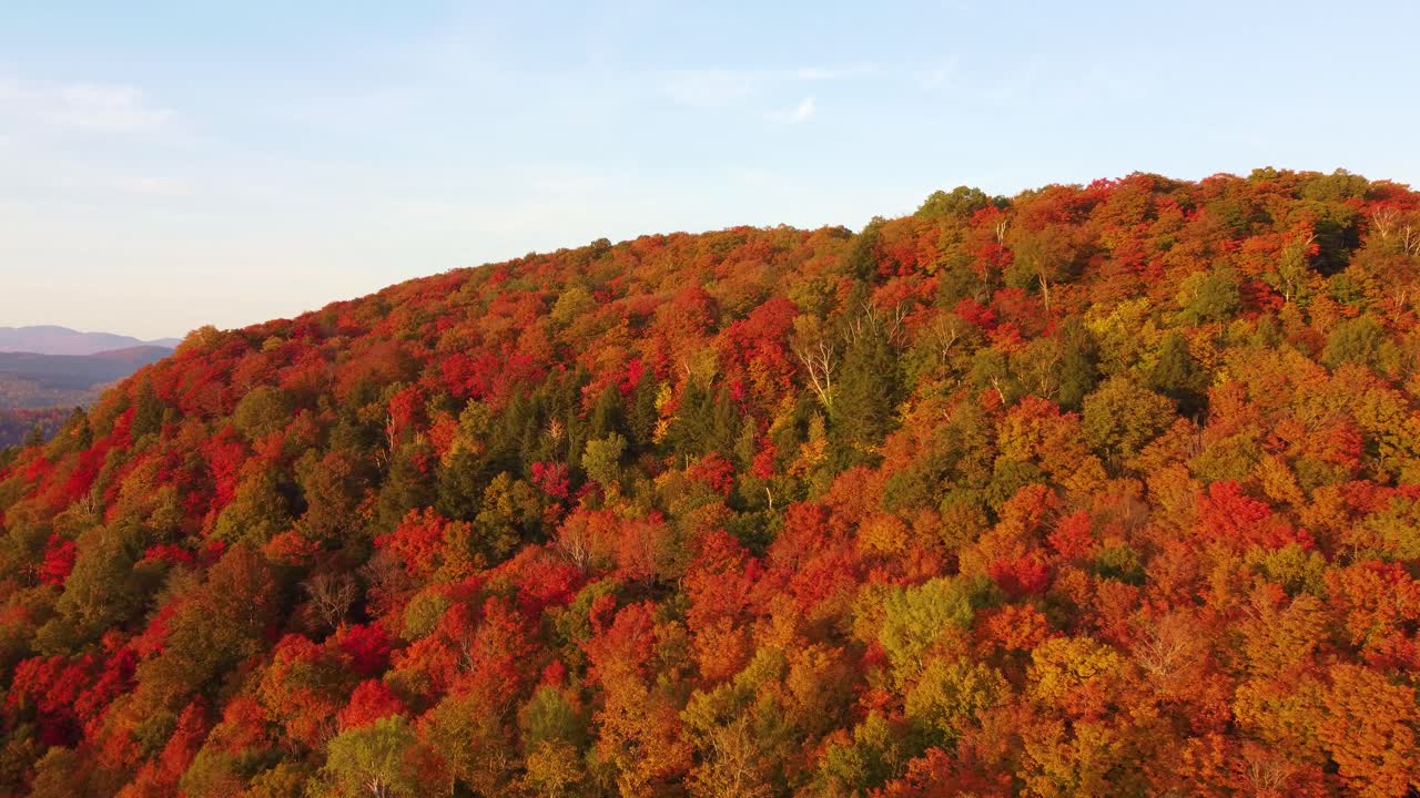 가을 잎자루 로 인 산꼭대기 의 공중 사진
