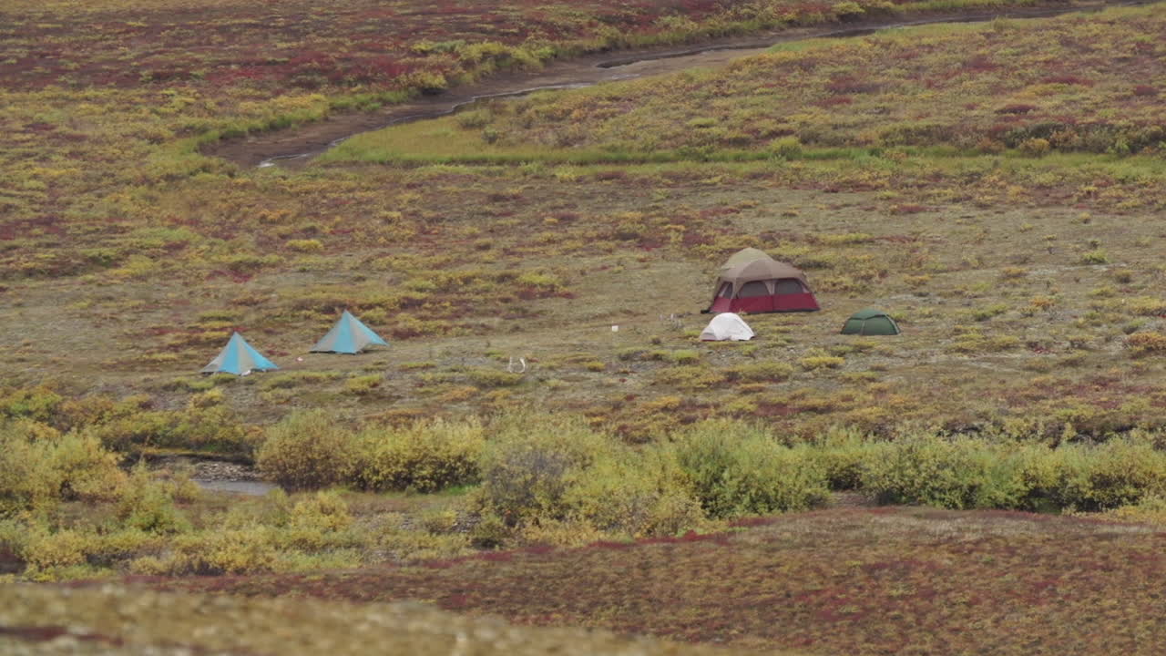 Tents in a Wilderness Campground