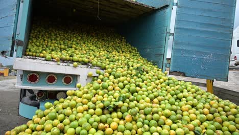 Camión-Lleno-De-Naranjas-De-Alamo-Veracruz,-México