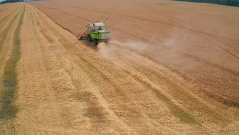 Agricultural machinery working in the farmlands. Compact green combine mows the dry ripe wheat. Skyline at backdrop.