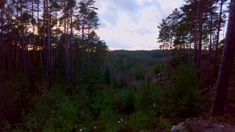 view from the rocks overgrown with vegetation and trees at sunset, toulovcovy maštale - czech republic
