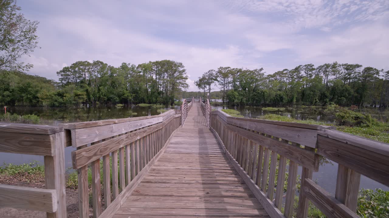 Scenic Wooden Boardwalk Over Calm Lake in a Swamp