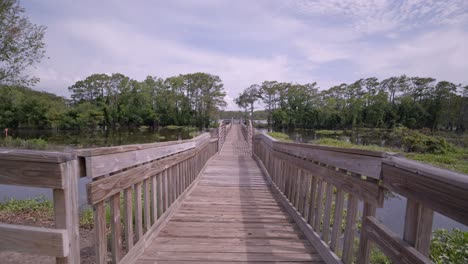 scenic wooden boardwalk over calm lake in a swamp
