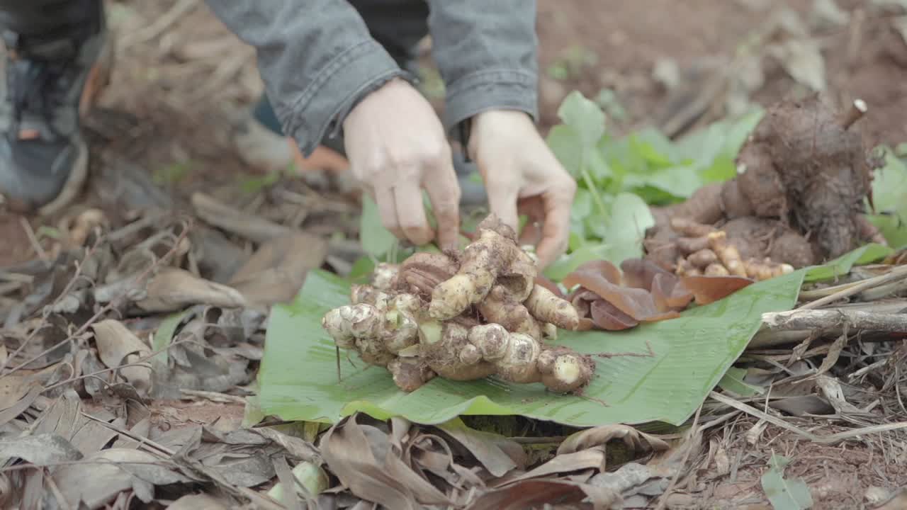 fotografía detallada de un trabajador local vestido con una camisa gris mientras maneja una mezcla de frutas y verduras con las manos en la parte superior de una hoja de plátano