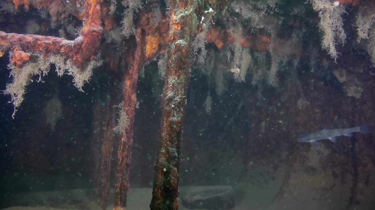 rueda de paletas goldrush aj goddard, debajo de la cubierta