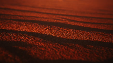 red sand texture at sunrise/sunset