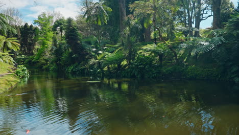 Slow-motion-camera-moving-forward-unveiling-green-lush-tropical-forest-and-a-river-crossing-through-the-natural-park