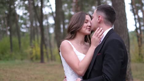 beautiful couple of bride and groom hug in park beautiful couple of bride and groom hug in park people in love hug and make their first kiss in park in beautiful suit and wedding dress