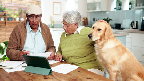 elderly couple with their dog reviewing finances at home