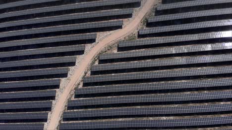 Top-down-view-photovoltaic-solar-power-park-farm-row-panels-reflect-sunlight