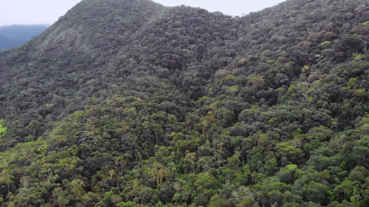 drone footage in dense green brazilian rainforest