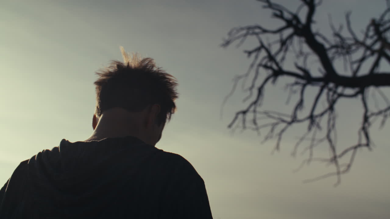 Silhouette of a Person Looking at a Bare Tree Against the Sky