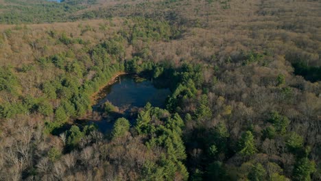 Estanque-En-Un-Denso-Matorral-De-árboles-Sobre-El-Embalse-De-Quabbin,-Establecimiento-De-Plataforma-Rodante-Aérea