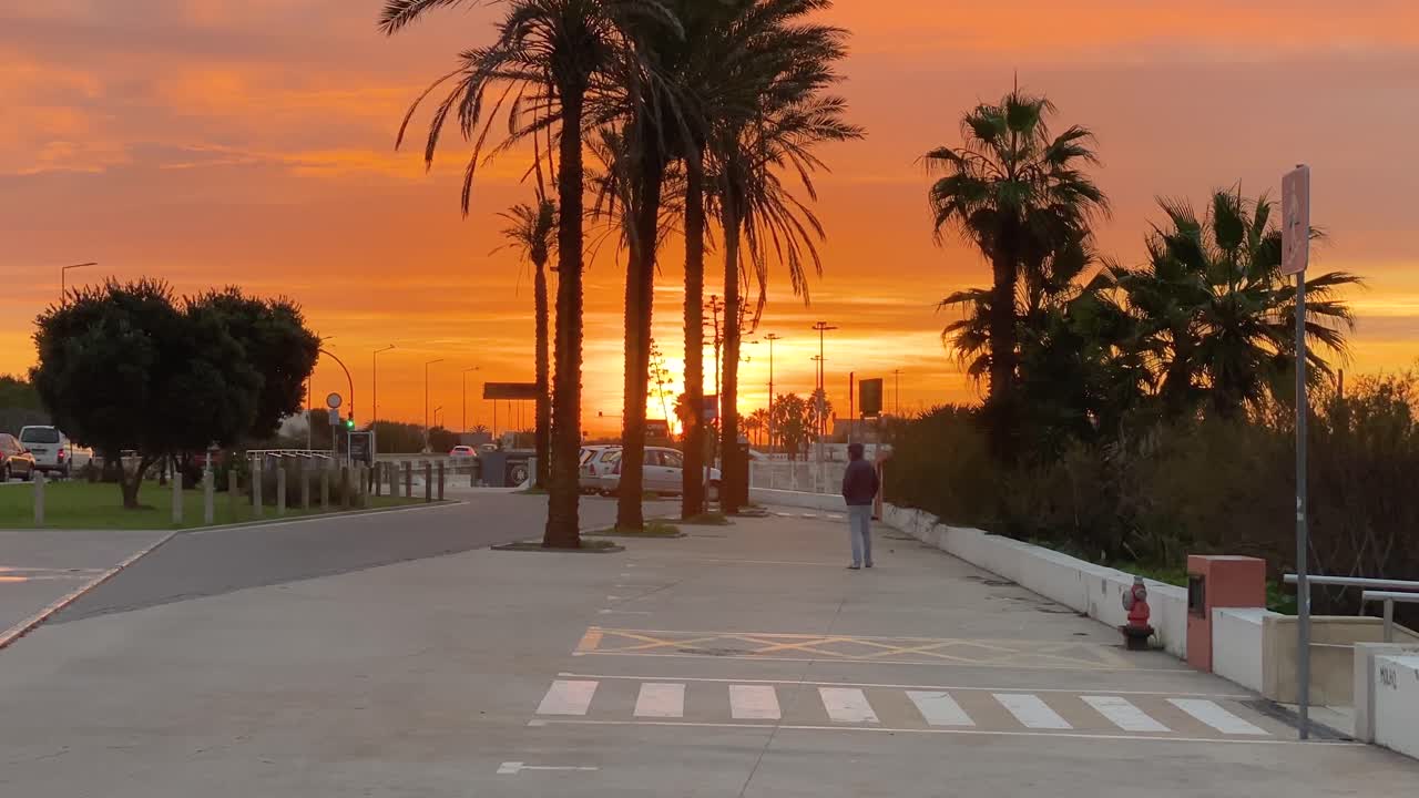 un hombre en silueta camina a través de un camión de estacionamiento en medio de palmeras con puesta de sol en el fondo