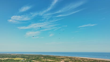 Birds-flying-in-blue-sky-over-dutch-province-of-Zeeland