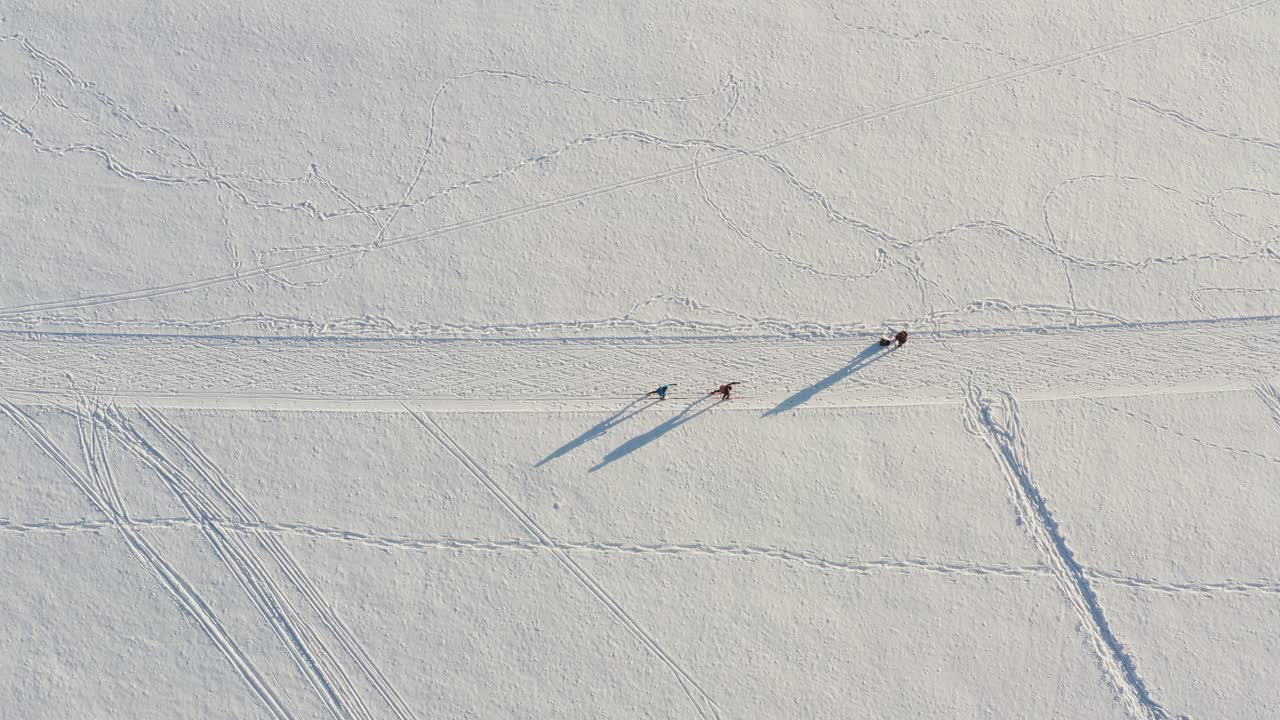 겨울에 위에서 곧장 한 쌍의 크로스컨트리 스키