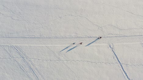 cross-country skiing of a couple straight from above in the winter