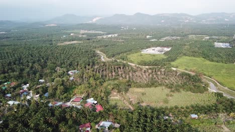 small village by oil palm trees.