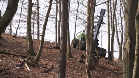 cosechadora forestal con brazo mecánico que trabaja en la pendiente del bosque otoñal