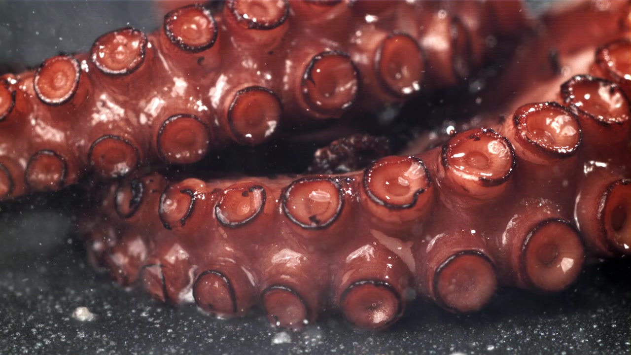 Scatto macro di un tentacolo di polpo che cuoce in padella