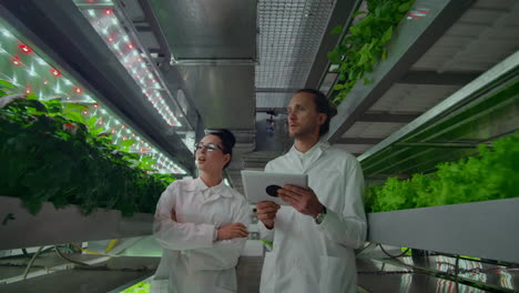 scientists in white coats with a laptop go along the corridor of the farm with hydroponics and discuss the results of gene studies on plants. look at the samples