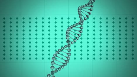 Estructura-De-ADN-3D-Girando-Sobre-Fondo-Verde