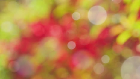 Abstract spring background with bokeh
