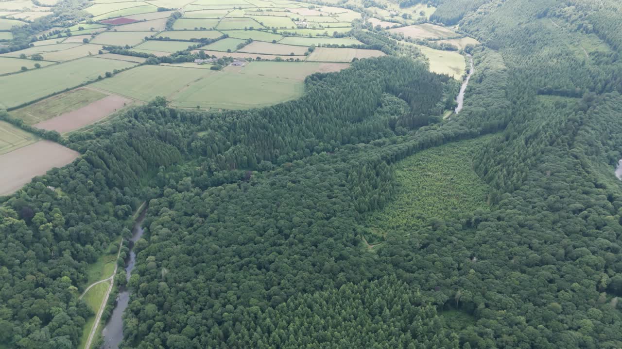 Aerial View of a Lush Forest and River Winding Through a Rural Landscape