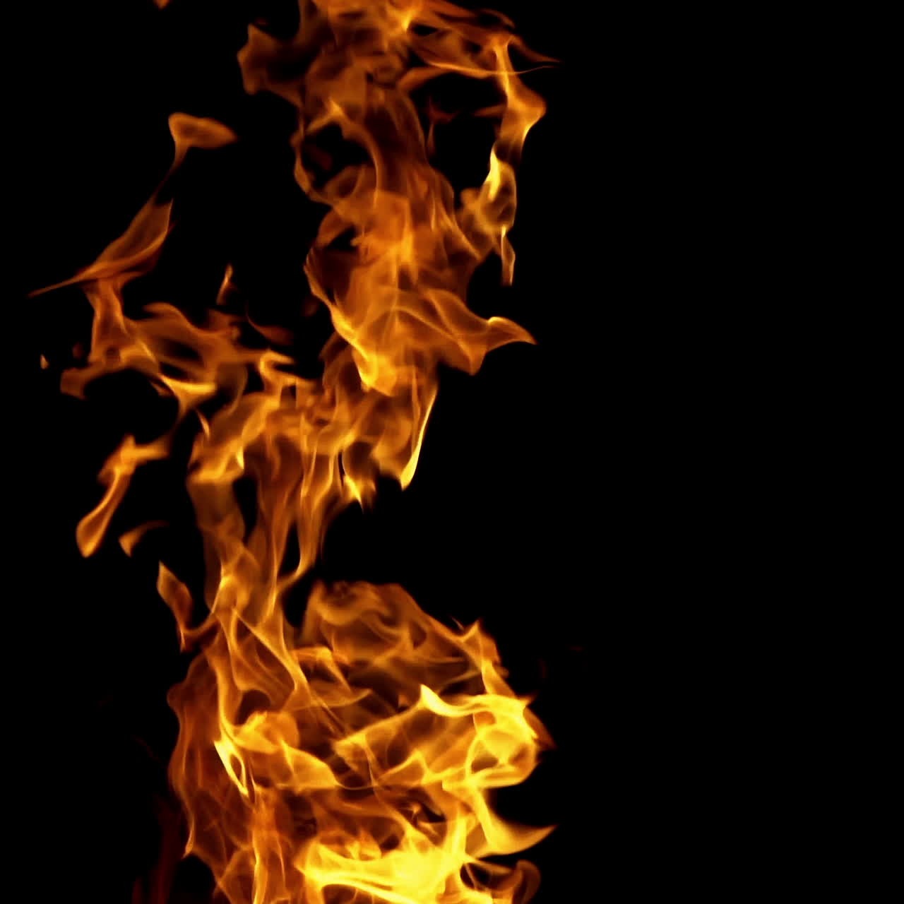 Burning fire. Fire flames on black background. Slow motion