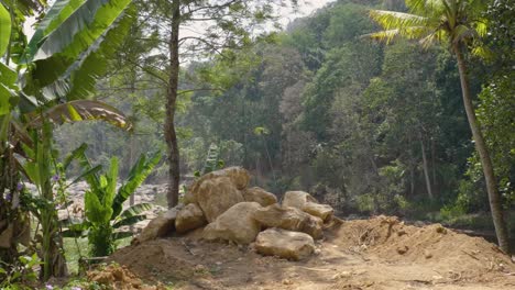 Langsamer-Spaziergang-Mit-Der-Kamera-Am-Ausgetrockneten-Ufer-Des-Nallathani-flusses-In-Munnar-Einige-Monate-Nach-Der-Regenzeit-Mit-Strahlendem-Sonnenschein-Und-Bananenbäumen-Im-Vordergrund