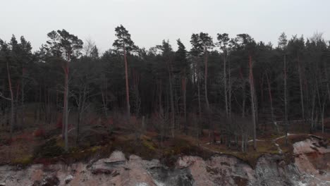 toma aérea del acantilado en ustka en invierno