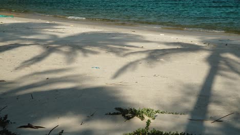 Silhouette-of-waving-palm-tree-leaves-on-sandy-beach-during-windy-day