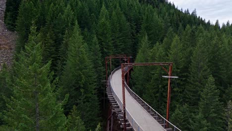 aerial shot of bridge in dense evergreen forest in snoqualmie, washington state