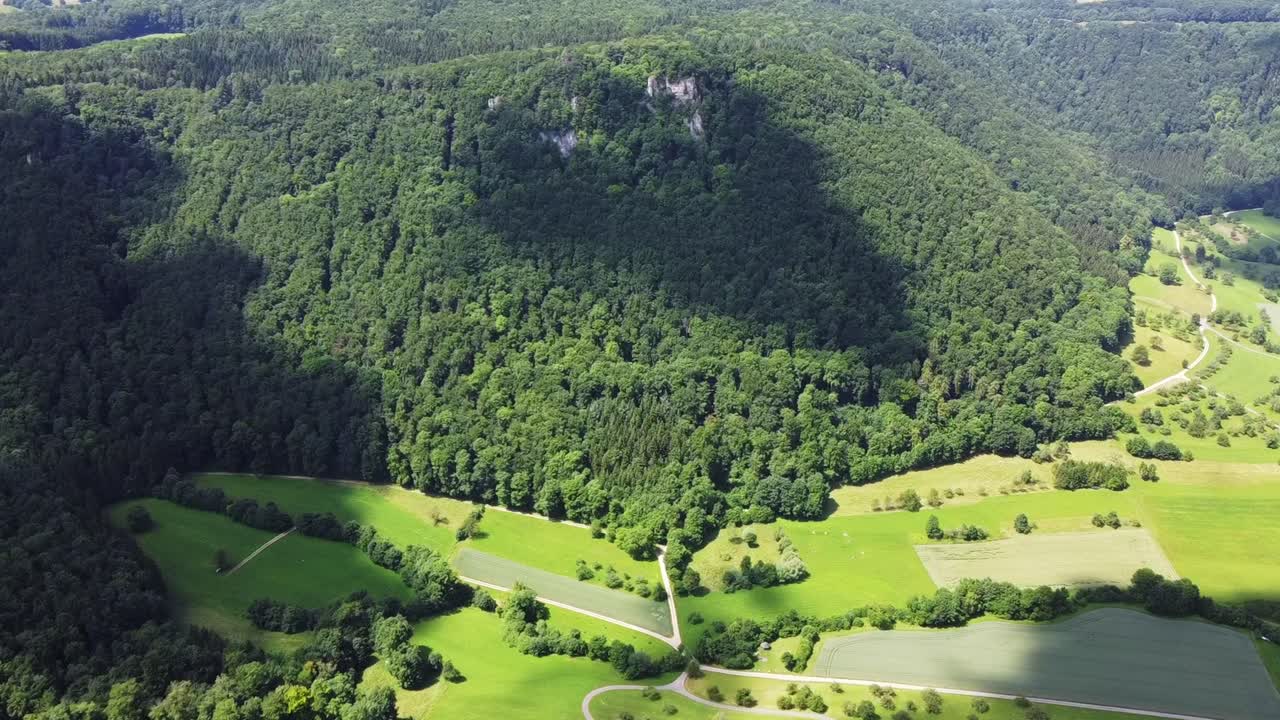 숲 바닥에 심장 모양의 구름