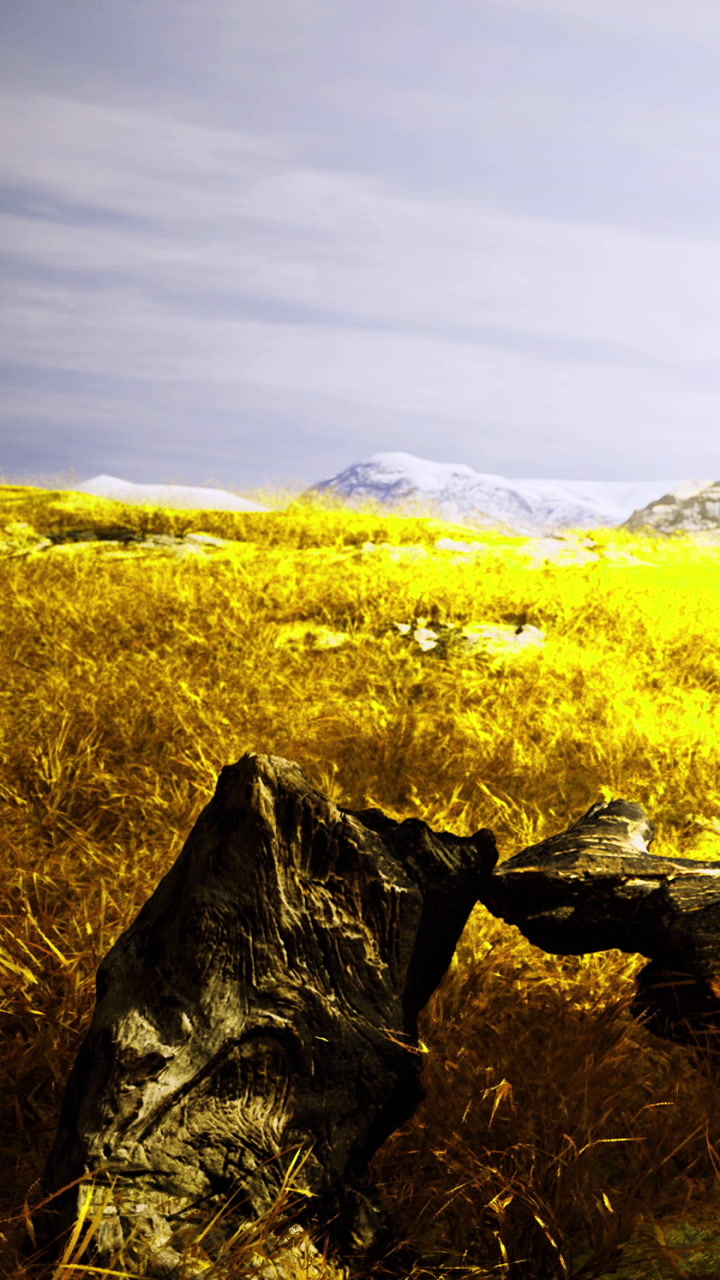 Golden grasslands bathed in warm sunlight with distant snowy peaks